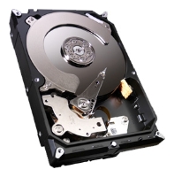 HDD 3000 Gb Seagate ST3000DM001